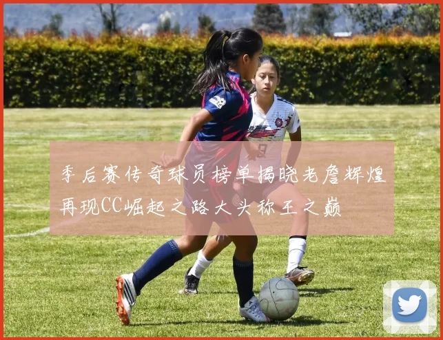 季后赛传奇球员榜单揭晓老詹辉煌再现CC崛起之路大头称王之巅