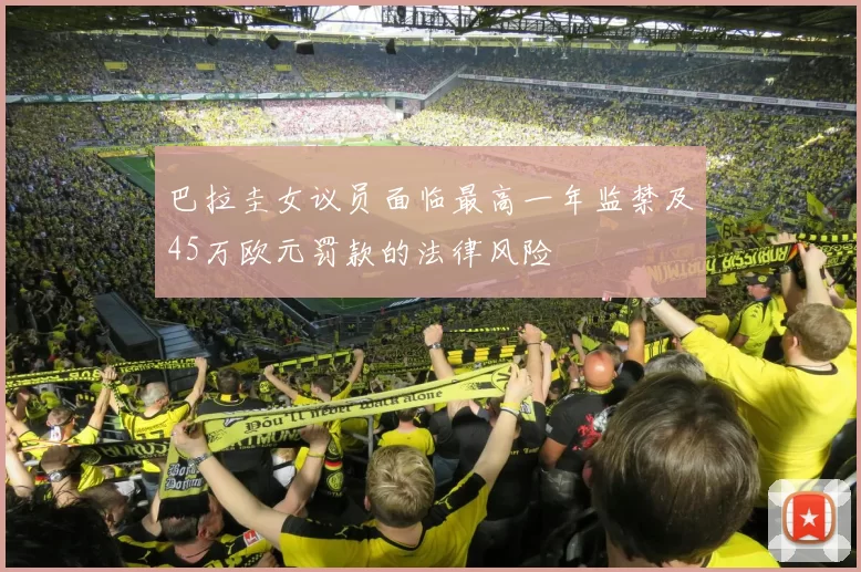 巴拉圭女议员面临最高一年监禁及45万欧元罚款的法律风险
