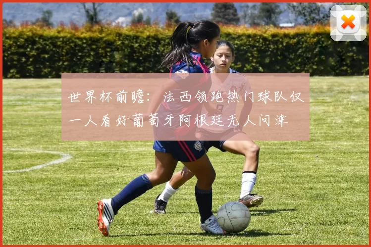 世界杯前瞻：法西领跑热门球队仅一人看好葡萄牙阿根廷无人问津